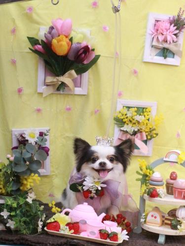 20230302リアンくん